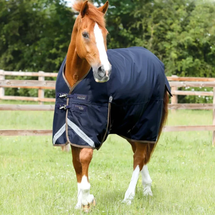 titan-100g-original-turnout-rug-217256n-377045_768x.webp