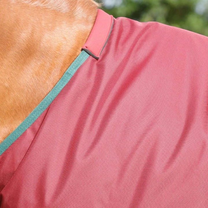 titan-100g-original-turnout-rug-217256brg-857354_1600x.jpg