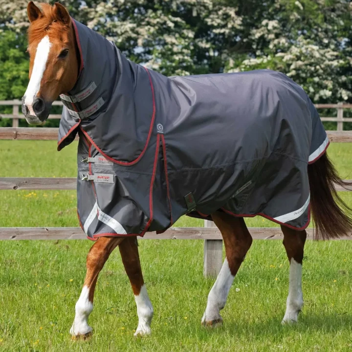 Buster-150-Grey-1_1600x.webp