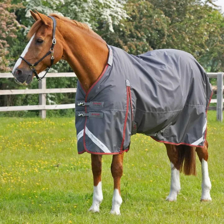 buster-150g-turnout-rug-with-classic-neck-cover-205950g-819389_1600x.webp