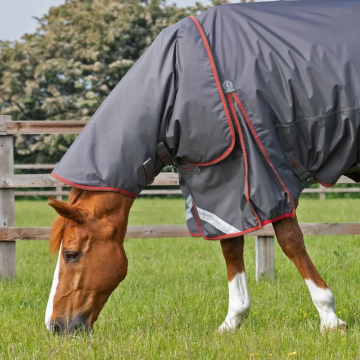 buster-150g-turnout-rug-with-classic-neck-cover-205950g-785928_1600x.webp