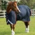buster-150g-turnout-rug-with-classic-neck-cover-205950n-382556_768x.webp