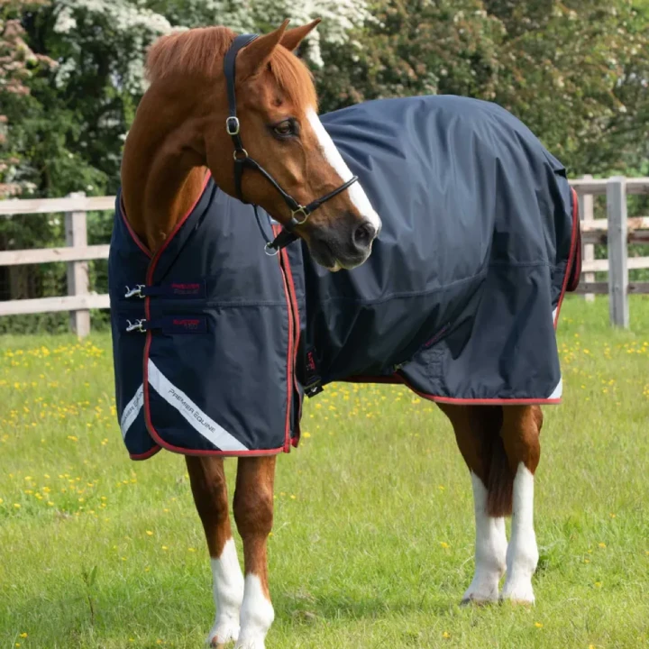 buster-150g-turnout-rug-with-classic-neck-cover-205950n-382556_768x.webp
