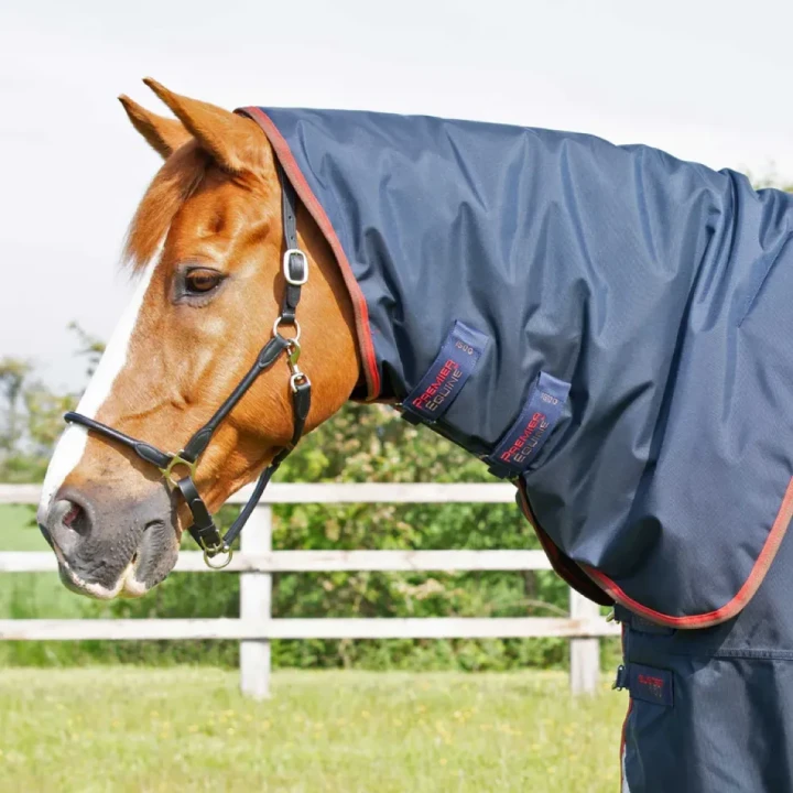 buster-150g-turnout-rug-with-classic-neck-cover-205950n-618688_768x.webp