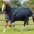 buster-150g-turnout-rug-with-classic-neck-cover-205950n-875599_768x.webp