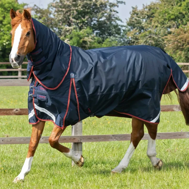buster-150g-turnout-rug-with-classic-neck-cover-205950n-875599_768x.webp