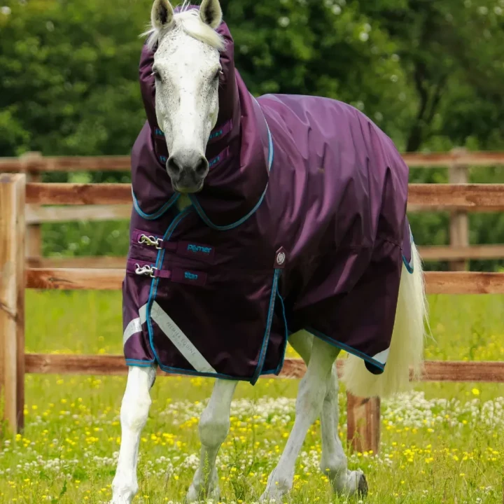 Titan-200-Turnout-Rug-Purple-1_1600x.webp
