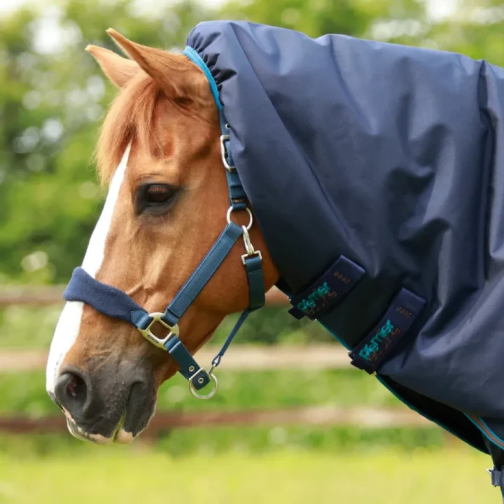 Titan-200-Turnout-Rug-Navy-2_768x.webp