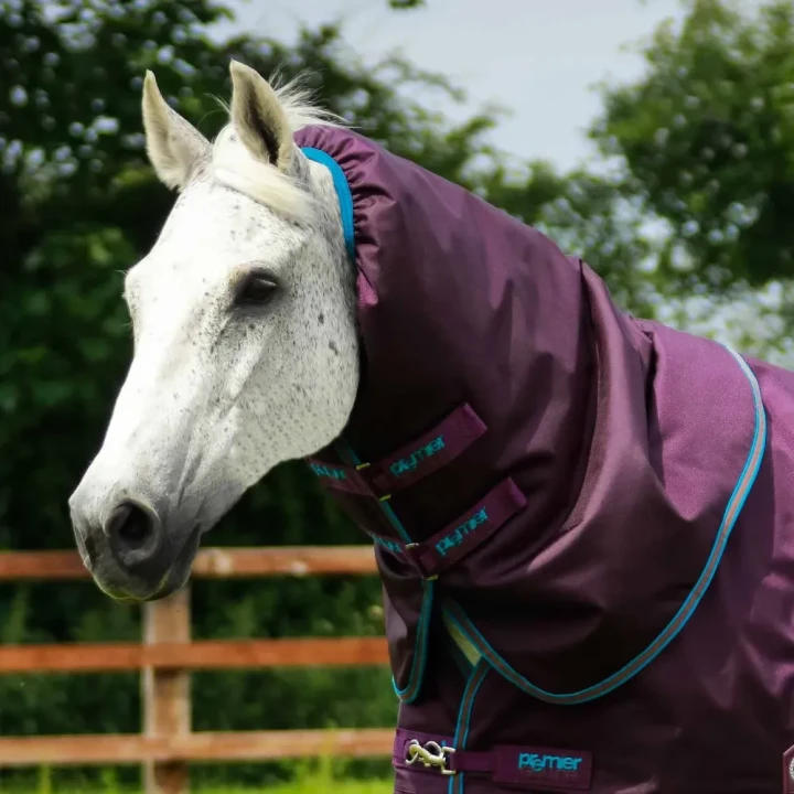 Titan-200-Turnout-Rug-Purple-2_1600x.webp