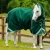 Buster-200-Turnout-Rug-Green-1_768x.webp