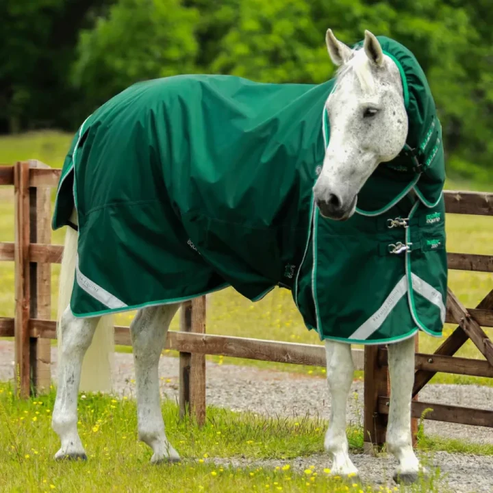Buster-200-Turnout-Rug-Green-1_768x.webp