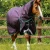 Buster-200-Turnout-Rug-Purple-1_18e961d4-a72b-4a32-bcce-36717d5dbf10_1600x.webp