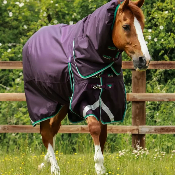 Buster-200-Turnout-Rug-Purple-1_18e961d4-a72b-4a32-bcce-36717d5dbf10_1600x.webp
