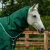 Buster-200-Turnout-Rug-Green-2_768x.webp