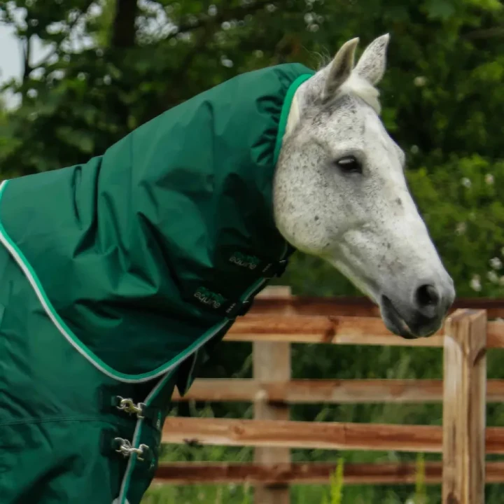 Buster-200-Turnout-Rug-Green-2_768x.webp