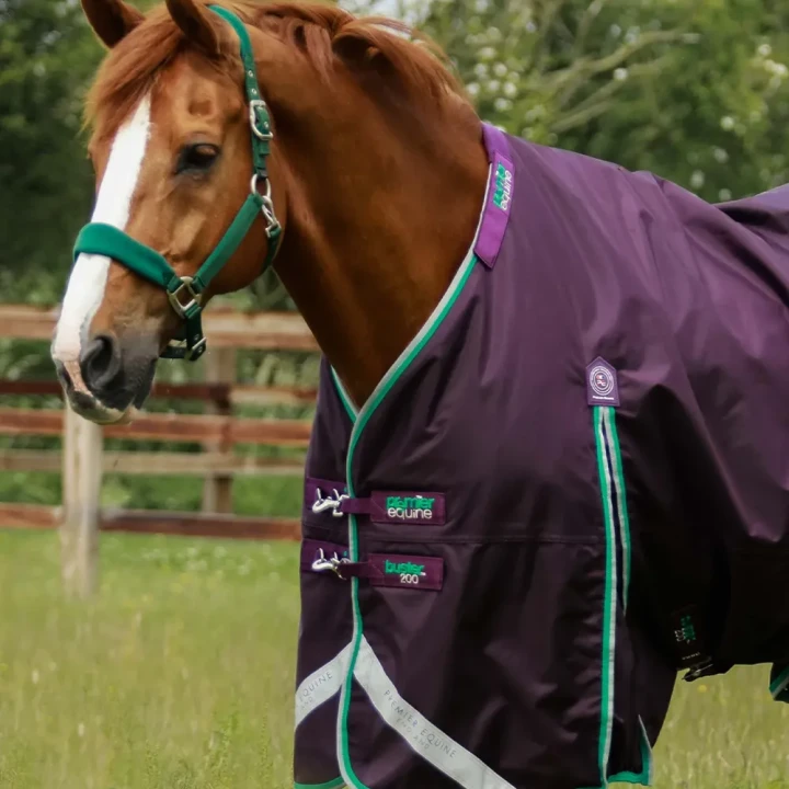Buster-200-Turnout-Rug-Purple-2_e57cc5c6-4135-42f0-8c85-c1c2053c1be3_1600x.webp