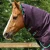 Buster-200-Turnout-Rug-Purple-3_7726508b-3379-4354-90bd-ad703514effb_1600x.webp