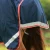 buster-storm-200g-combo-turnout-rug-with-snug-fit-neck-220156n-328091_1600x.webp