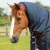 buster-storm-200g-combo-turnout-rug-with-snug-fit-neck-220156n-750228_1600x.webp