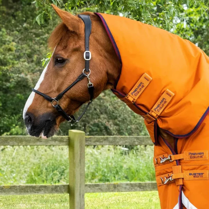 buster-storm-200g-combo-turnout-rug-with-classic-neck-220850bo-384611_1600x.webp