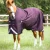 Titan-200-Original-Turnout-Rug-Purple-1-V2_768x.webp