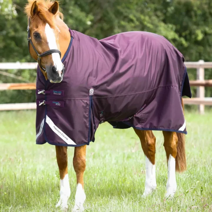 Titan-200-Original-Turnout-Rug-Purple-1-V2_768x.webp