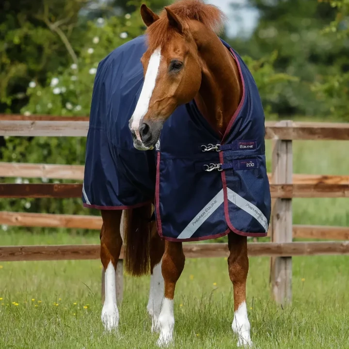Titan-200-Original-Turnout-Rug-Navy-1_1600x.webp