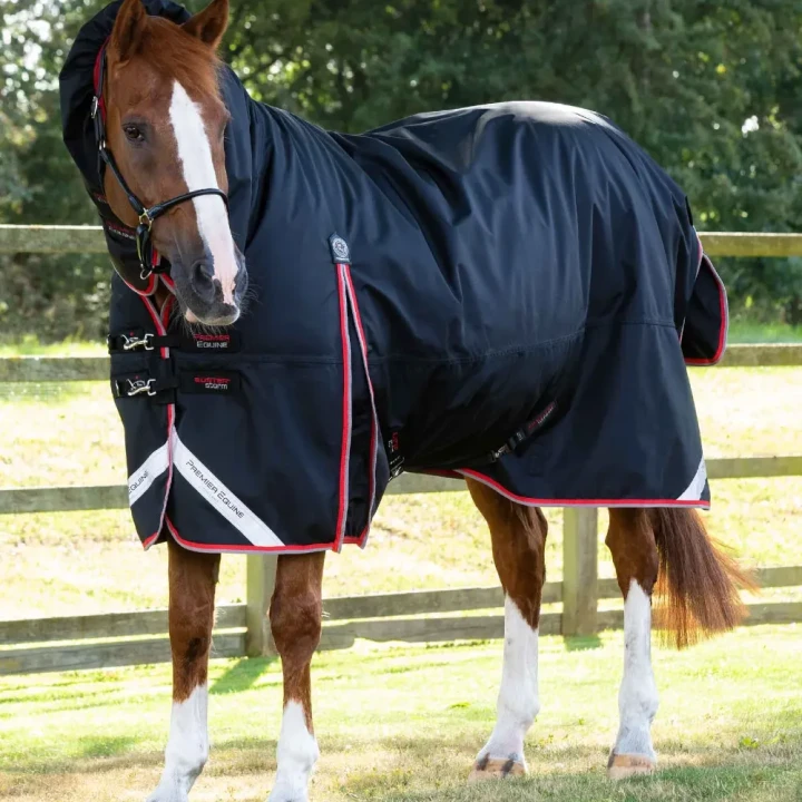 Buster-Storm-400-Turnout-Rug-Black-0_1600x.webp