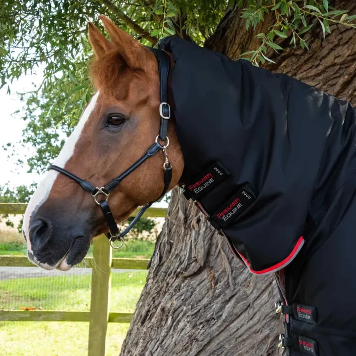 Buster-Storm-400-Turnout-Rug-Black-2_1600x.webp