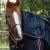 Buster-Storm-400-Turnout-Rug-Black-3_1600x.webp