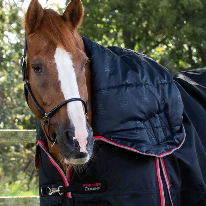 Buster-Storm-400-Turnout-Rug-Black-3_1600x.webp