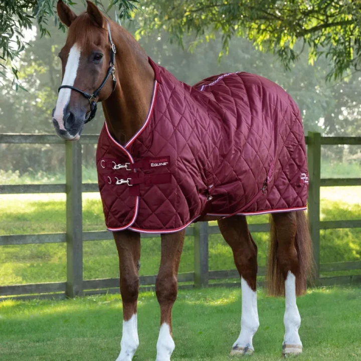 tuscan-stable-rug-100g-207050brg-328956_768x.webp