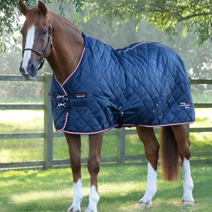 tuscan-stable-rug-100g-207050n-418073_1600x.webp