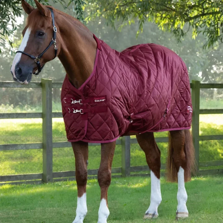 tuscan-stable-rug-200g-207250brg-124578_768x.webp