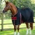 Lucanta-Demi-Stable-200-Black-Image-1-RGB_1600x.webp