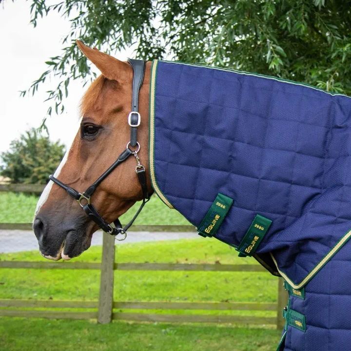 Lucanta-Stable-450g-Stable-Rug-2_445deba8-f8b2-4756-b471-c44bad470080_1600x.webp