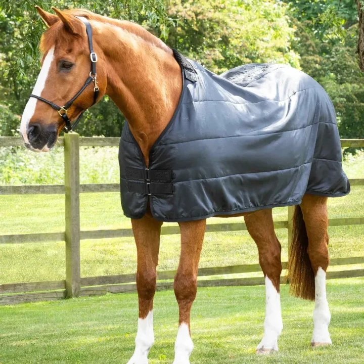 Horse-Rug-Liner-Black-2_1600x.webp