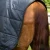 Horse-Rug-Liner-Black-6_1600x.webp