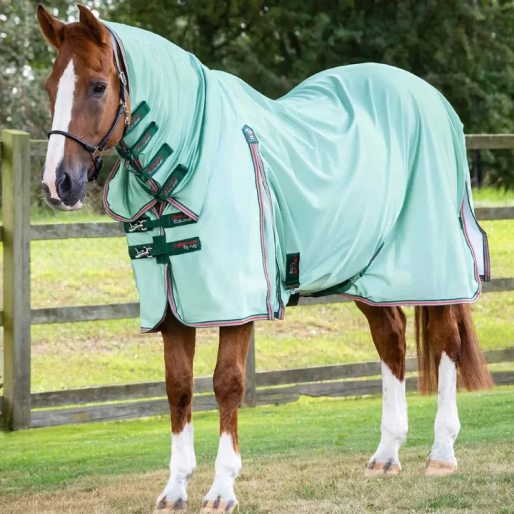 Combo-Mesh-Air-Fly-Rug-with-Surcingles-Mint-Green-1_768x.webp