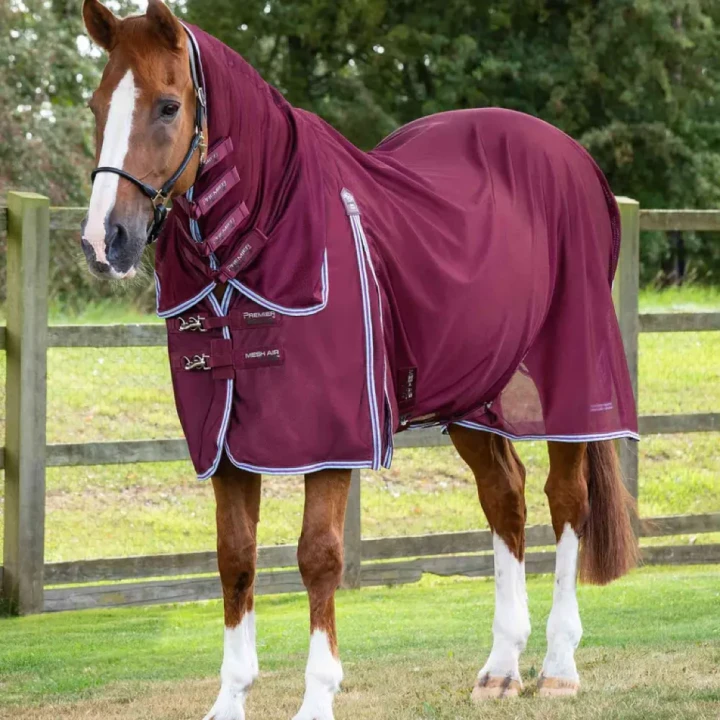 Combo-Mesh-Air-Fly-Rug-with-Surcingles-Wine-1_768x.webp