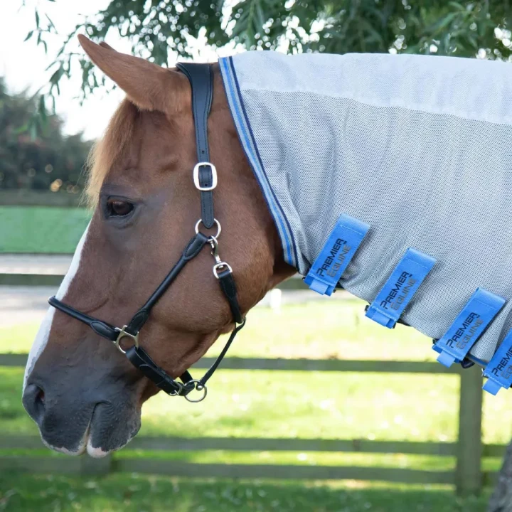 combo-mesh-air-fly-rug-with-surcingles-207756-324961_1600x.webp