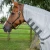 fly-lite-bug-rug-202050slv-171712_1600x.webp
