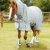 bug-buster-fly-rug-with-belly-flap-207656-259876_1600x.webp
