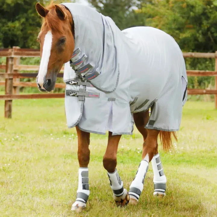 bug-buster-fly-rug-with-belly-flap-207656-259876_1600x.webp