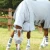 bug-buster-fly-rug-with-belly-flap-207656-163872_1600x.webp