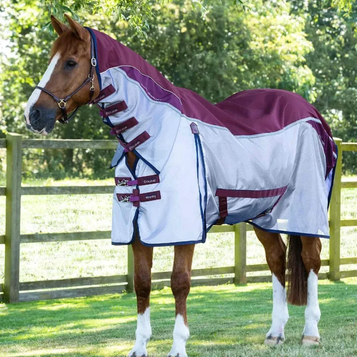 Buster-Stay-Dry-Super-Lite-Fly-Rug-Wine-1_5227855b-39e9-46c3-8c02-f53293fe4bc6_1600x.webp