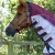 Buster-Stay-Dry-Super-Lite-Fly-Rug-Wine-2_1600x.webp
