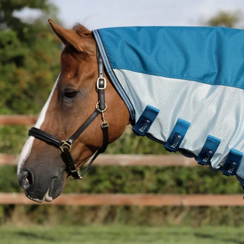 stay-dry-mesh-air-fly-rug-with-surcingles-208256bl-143975_1600x.webp