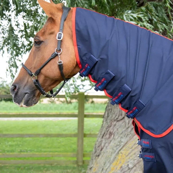 combo-horse-stable-sheet-209356n-293615_1600x.webp
