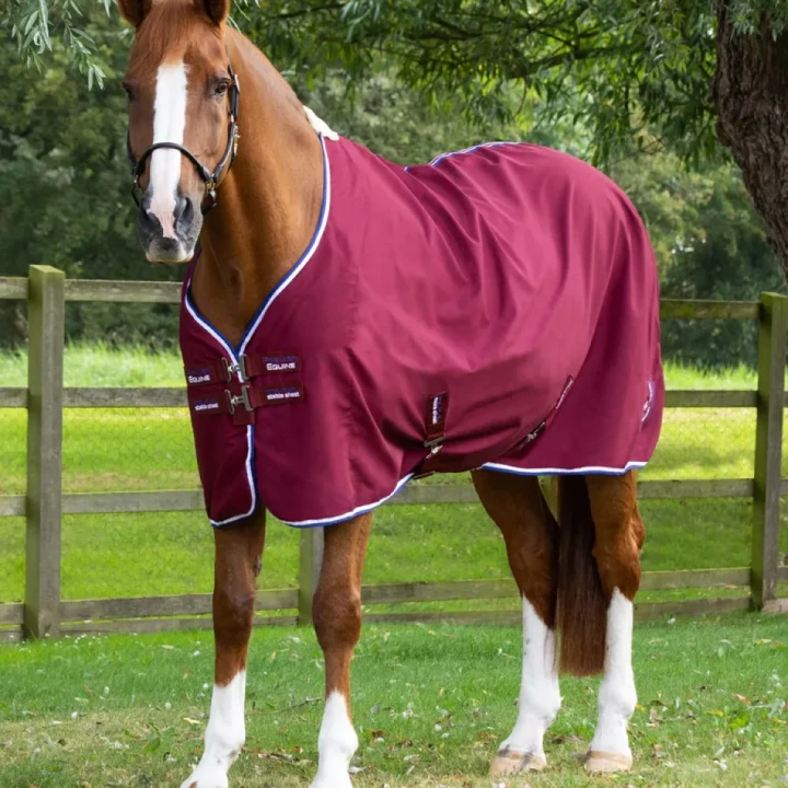Stratus-stable-sheet-burgundy-1_768x.webp